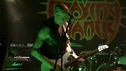 Mantis Video 8